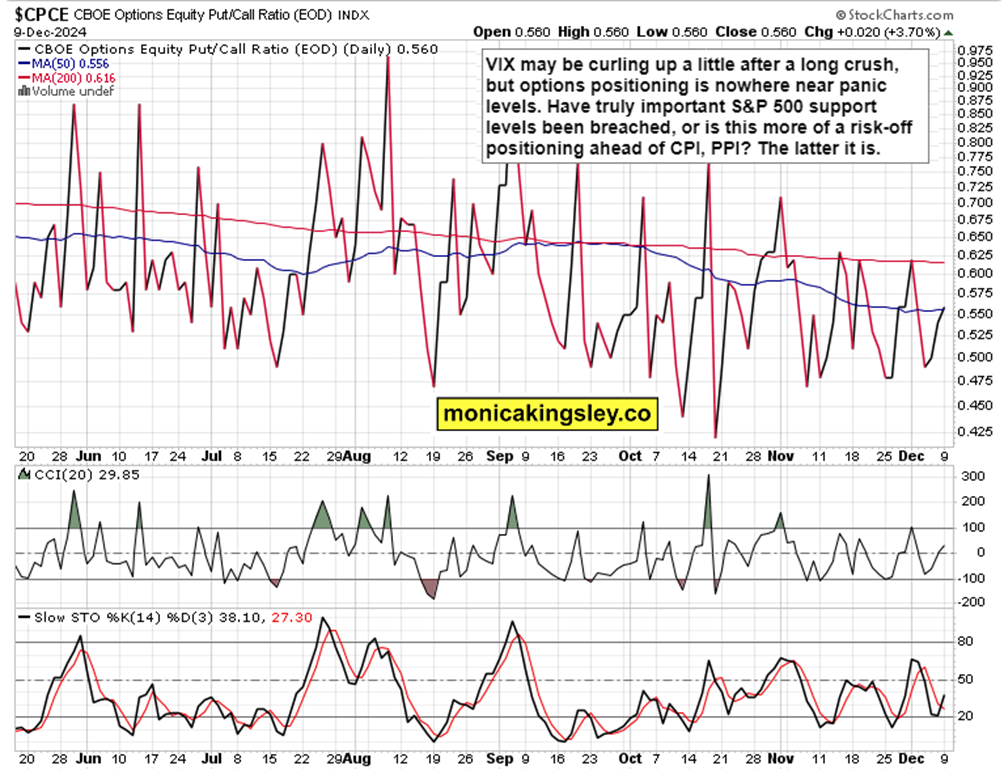 普京同金正恩通电话重申发展合作承诺